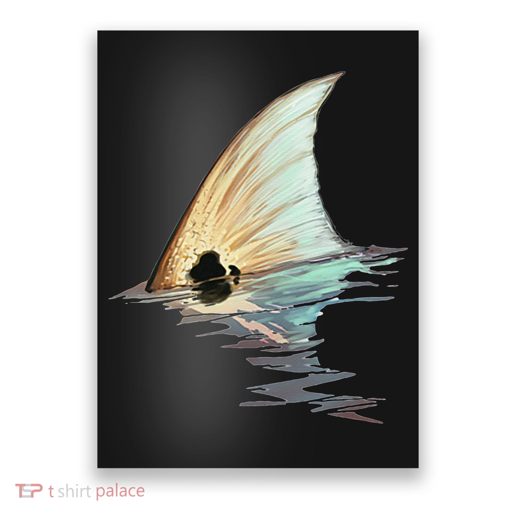 Tailing Redfish Redfish Tail Red Drum Fish Poster
