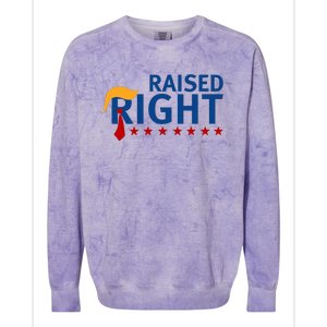 Trump Raised Right Colorblast Crewneck Sweatshirt