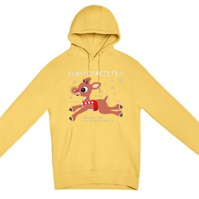 The Rednosed Reindeer How Reindeer Fly Christmas Premium Pullover Hoodie