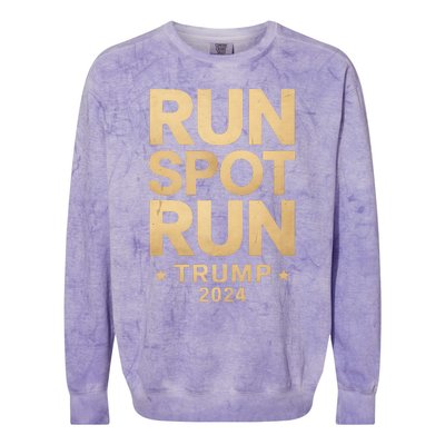 Trump Run Spot Funny Trump 2024 Colorblast Crewneck Sweatshirt