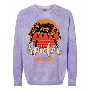 Tarantula Retro Sunset Arachnid Hairy Spiders Entomologist Colorblast Crewneck Sweatshirt