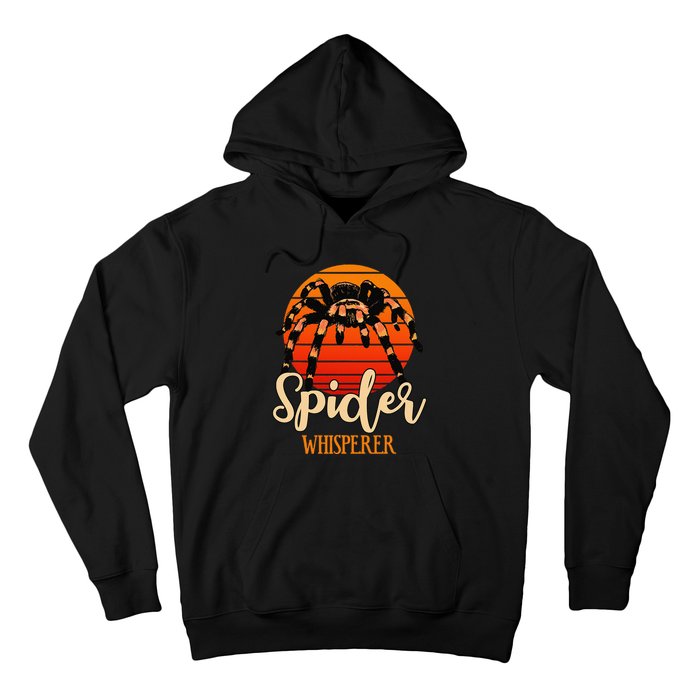 Tarantula Retro Sunset Arachnid Hairy Spiders Entomologist Hoodie