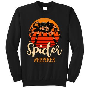 Tarantula Retro Sunset Arachnid Hairy Spiders Entomologist Sweatshirt