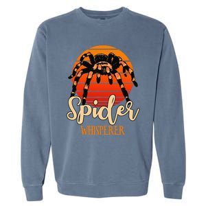 Tarantula Retro Sunset Arachnid Hairy Spiders Entomologist Garment-Dyed Sweatshirt