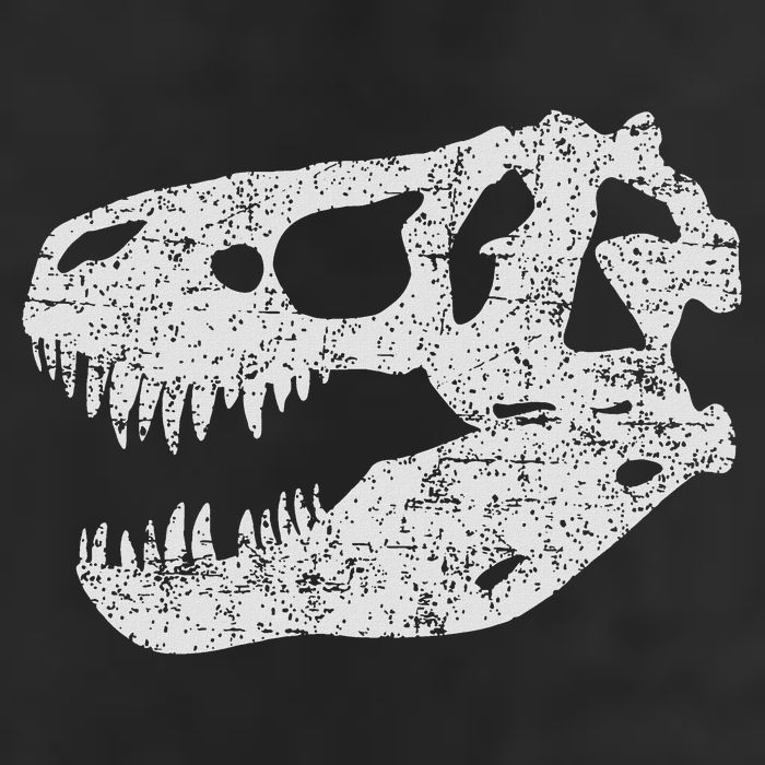 T Rex Skull Tyrannosaurus Rex Dinosaur Fossil Cool Comfort Performance Bucket Hat