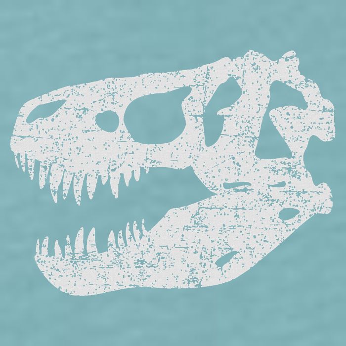 T Rex Skull Tyrannosaurus Rex Dinosaur Fossil Sueded Cloud Jersey T-Shirt