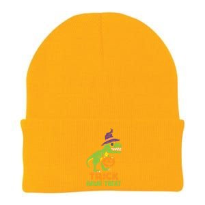 Trick Rawr Treat Dinosaur Dino Trex Halloween Cute Gift Knit Cap Winter Beanie