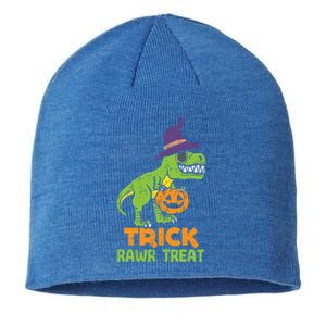 Trick Rawr Treat Dinosaur Dino Trex Halloween Cute Gift Sustainable Beanie