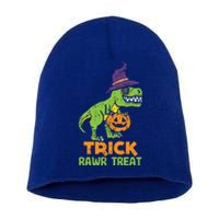 Trick Rawr Treat Dinosaur Dino Trex Halloween Cute Gift Short Acrylic Beanie