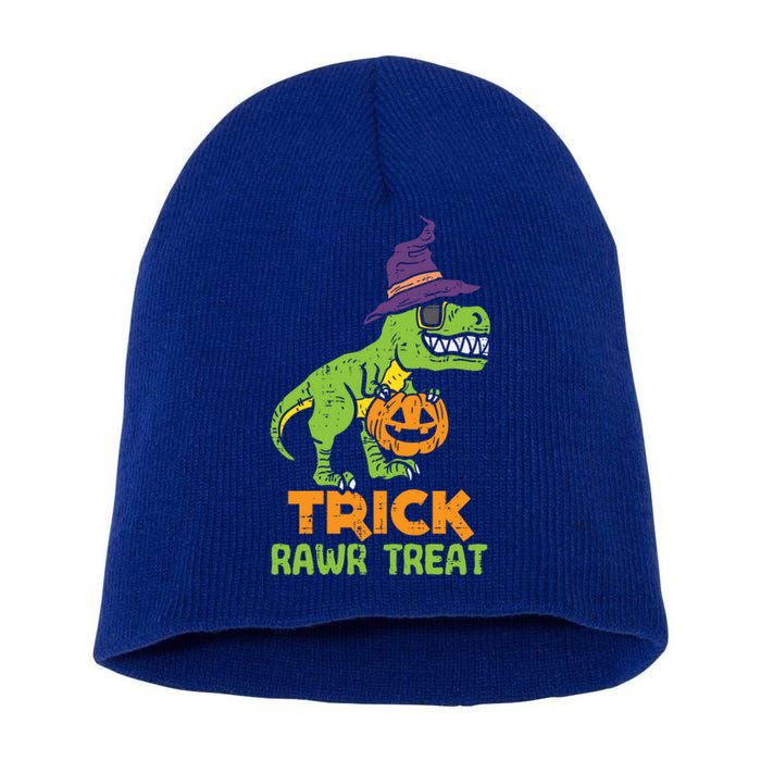 Trick Rawr Treat Dinosaur Dino Trex Halloween Cute Gift Short Acrylic Beanie