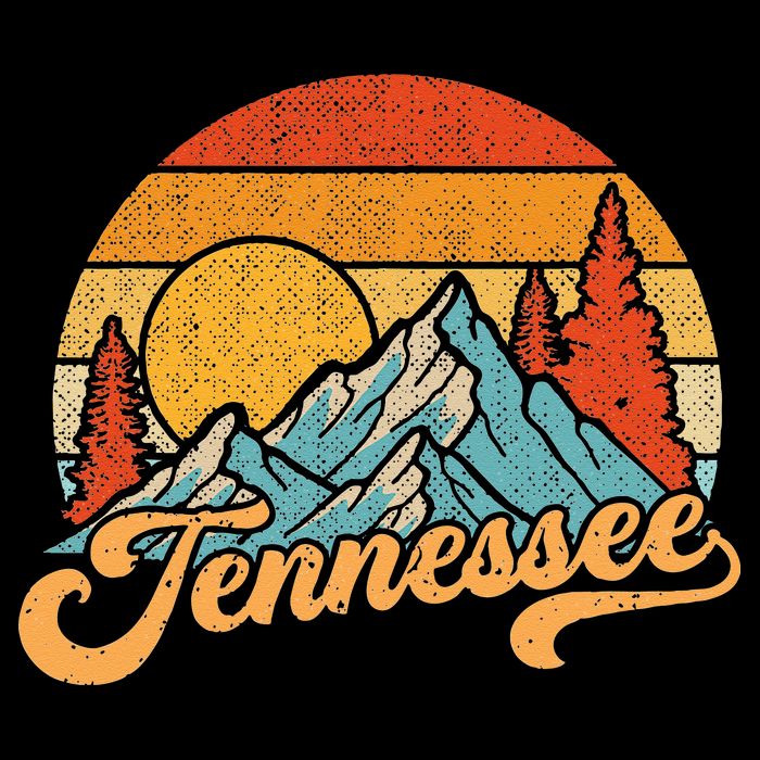 Tennessee Retro Tennessee Tennessee Tourist Youth Performance Sprint T-Shirt