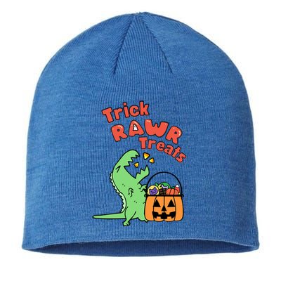 Trick Rawr Treat Dinosaur Trex Halloween Gift Sustainable Beanie