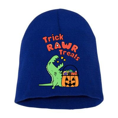 Trick Rawr Treat Dinosaur Trex Halloween Gift Short Acrylic Beanie