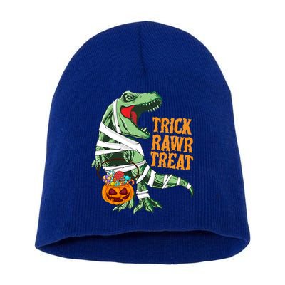 Trick Rawr Treat Halloween TRex Dinosaur Ghost Print Gift Short Acrylic Beanie