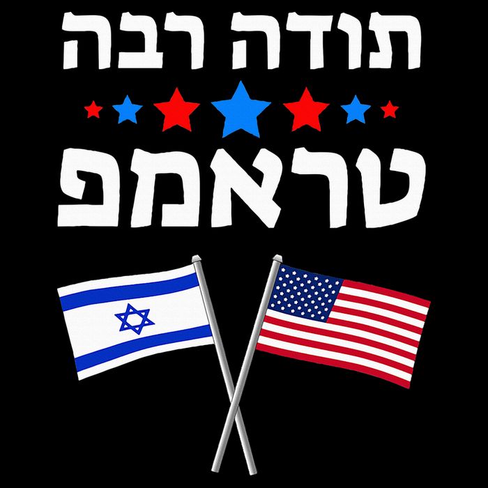 Toda Raba Trump Thank You Trump In Hebrew Jewish Israel Wool Snapback Cap
