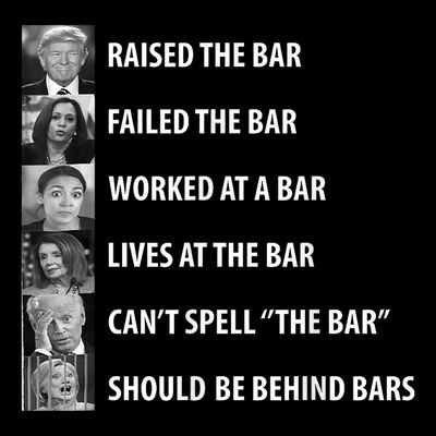 Trump Raised The Bar Biden Cant Spell Bar Funny President T-Shirt