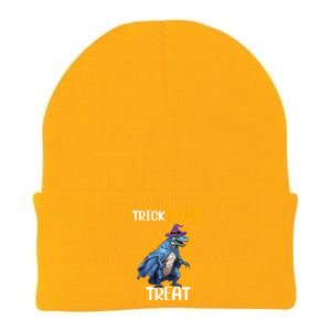 Trick Rawr Treat Halloween TRex Dinosaur Witch Gift Knit Cap Winter Beanie