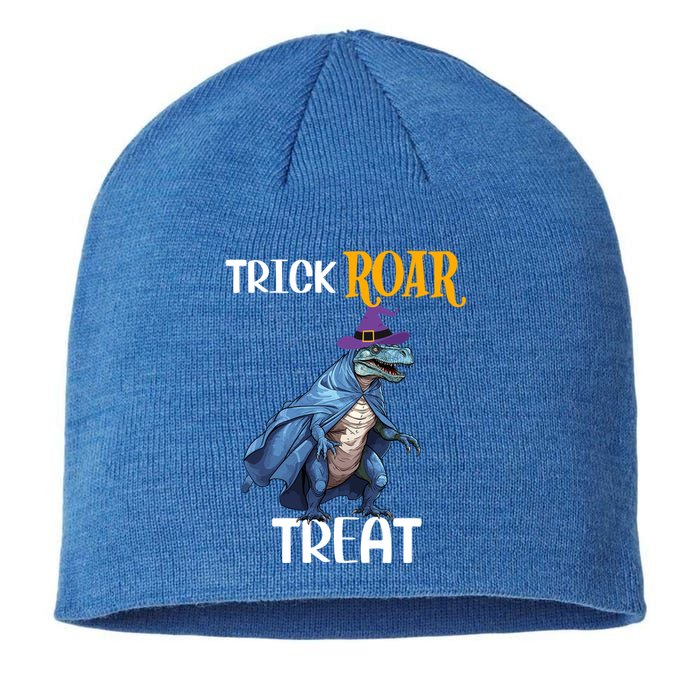 Trick Rawr Treat Halloween TRex Dinosaur Witch Gift Sustainable Beanie