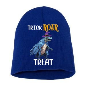 Trick Rawr Treat Halloween TRex Dinosaur Witch Gift Short Acrylic Beanie