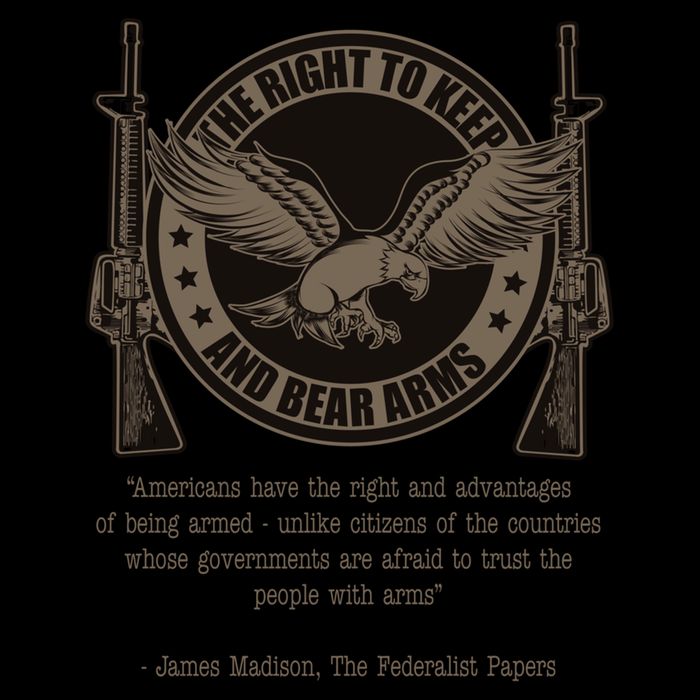 The Right To Keep And Bear Arms Constitutional Gift Cooling Performance Crew T-Shirt