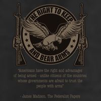 The Right To Keep And Bear Arms Constitutional Gift Adult Drive Performance Visor