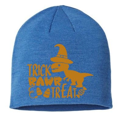 Trick Rawr Treat Dinosaur Halloween Tyrannosaurus Rex Gift Sustainable Beanie