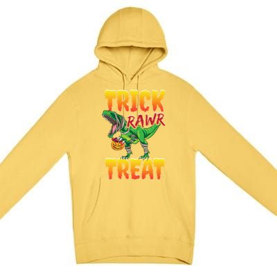 Trick Rawr Treat Dinosaur Trex Halloween Great Gift Premium Pullover Hoodie