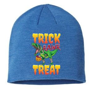 Trick Rawr Treat Dinosaur Trex Halloween Great Gift Sustainable Beanie