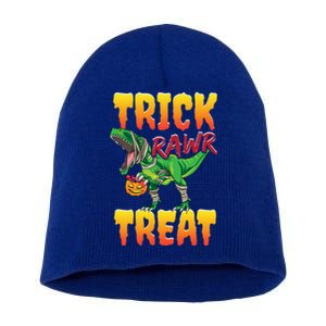 Trick Rawr Treat Dinosaur Trex Halloween Great Gift Short Acrylic Beanie