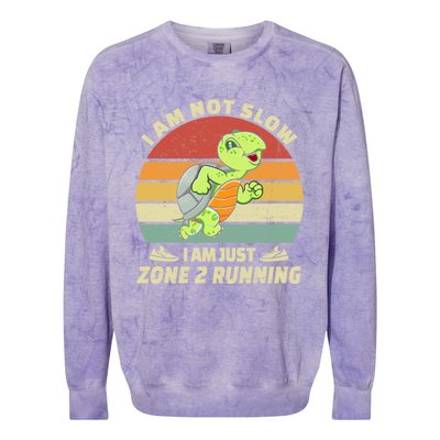 Turtle Runner Team Vintage Im Not Slow Just Zone 2 Running Great Gift Colorblast Crewneck Sweatshirt