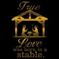 True Love Was Born In A Stable Women's V-Neck T-Shirt