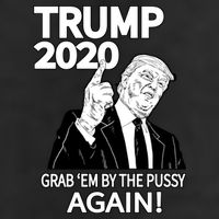Trump 2020 Grab Em' Again Adult Drive Performance Visor