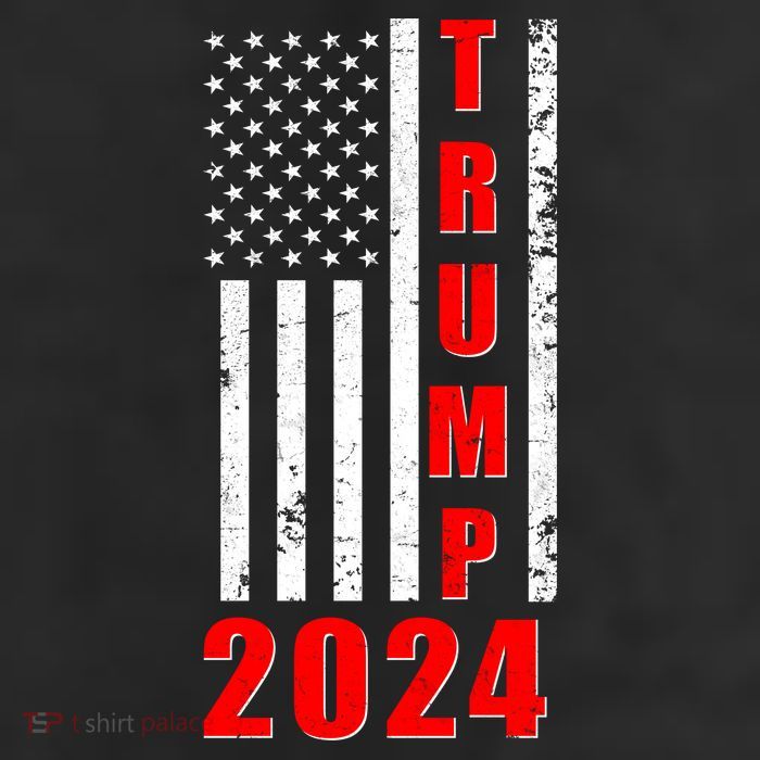 Trump 2024 Election Distressed US Flag Beanie