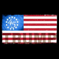 Trump 45 Betsy Ross 13 Original Colonies Flag Cooling Performance Crew T-Shirt