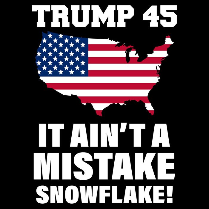 Trump 45 It Ain't A Mistake Snowflake T-Shirt