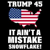 Trump 45 It Ain't A Mistake Snowflake Impact Tech Backpack