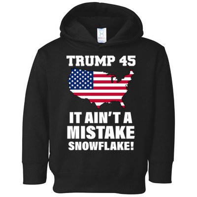 Trump 45 It Ain't A Mistake Snowflake Toddler Hoodie