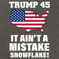 Trump 45 It Ain't A Mistake Snowflake Cotton Canvas Backpack