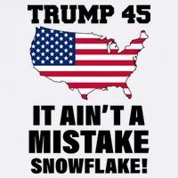 Trump 45 It Ain't A Mistake Snowflake Garment-Dyed Sweatshirt