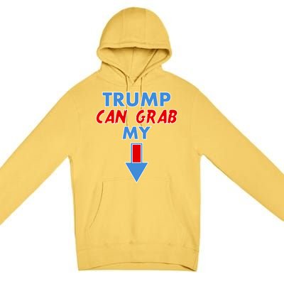 Trump Can Grab My Pussy Arrow 2020 Election Premium Pullover Hoodie