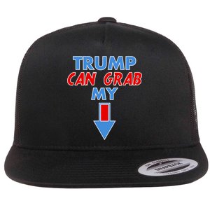 Trump Can Grab My Pussy Arrow 2020 Election Flat Bill Trucker Hat