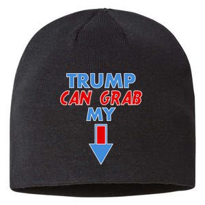 Trump Can Grab My Pussy Arrow 2020 Election Sustainable Beanie