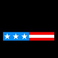 Trump Desantis 2024 US Flag Mug