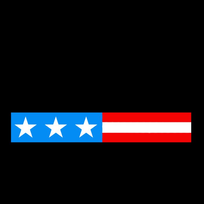 Trump Desantis 2024 US Flag Mug
