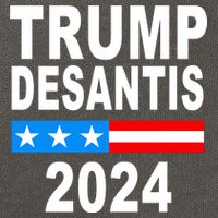 Trump Desantis 2024 US Flag Cotton Canvas Backpack