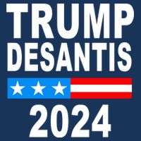 Trump Desantis 2024 US Flag Premium T-Shirt