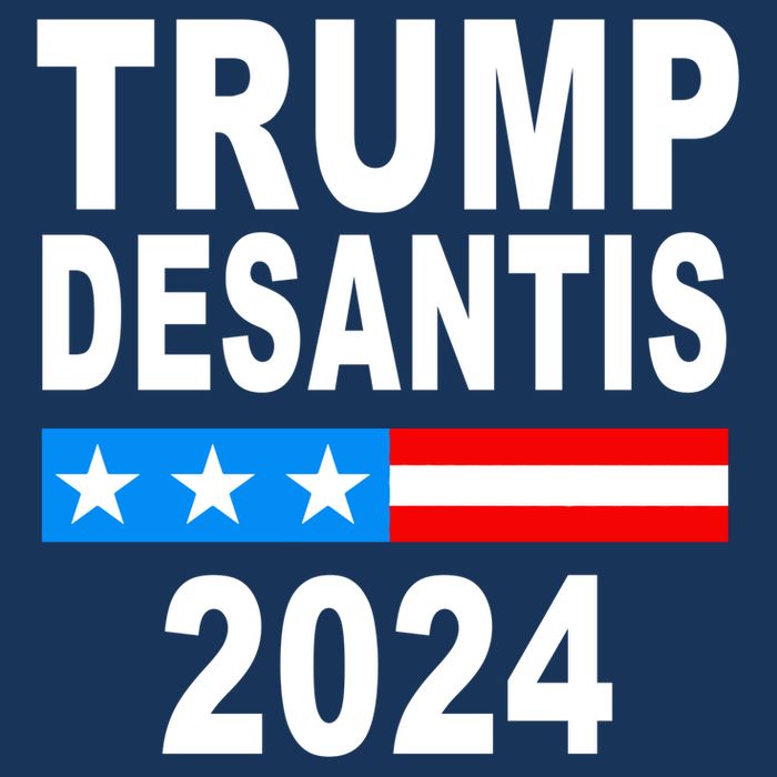 Trump Desantis 2024 US Flag Premium T-Shirt
