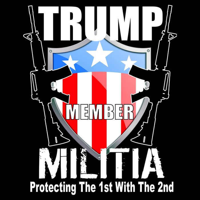 Trump Militia Protecting The 1st With 2nd Cropped Pullover Crew