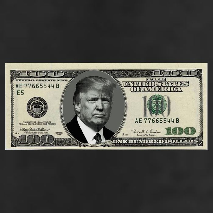 Trump Money Hundred Dollar Bill $100  7 Panel Mesh Trucker Snapback Hat