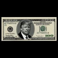 Trump Money Hundred Dollar Bill $100  Bucket Hat